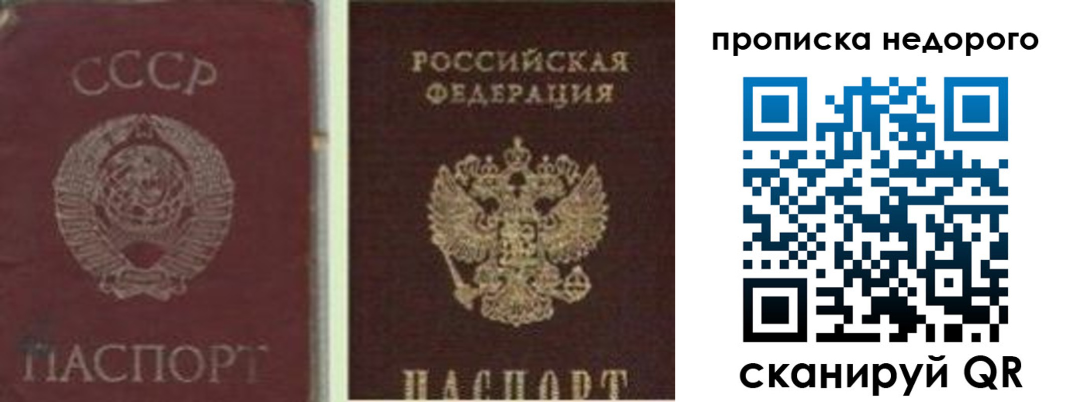 временная регистрация поиск в Кохме